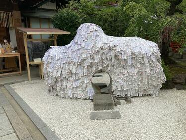 京都最強」の縁切り神社「安井金比羅宮」とディープパワースポットを「徒歩半日」でめぐる「いろいろリセット」ツアー｜トラベル｜ニュース｜BRAVO  MOUNTAIN