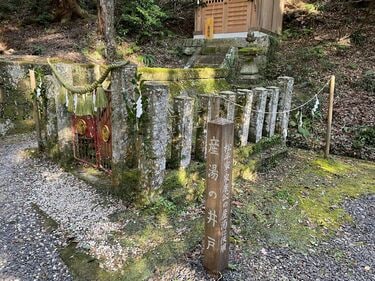 松平東照宮「圧巻の天井画」と名物「松平まんじゅう」が味わえる「松平