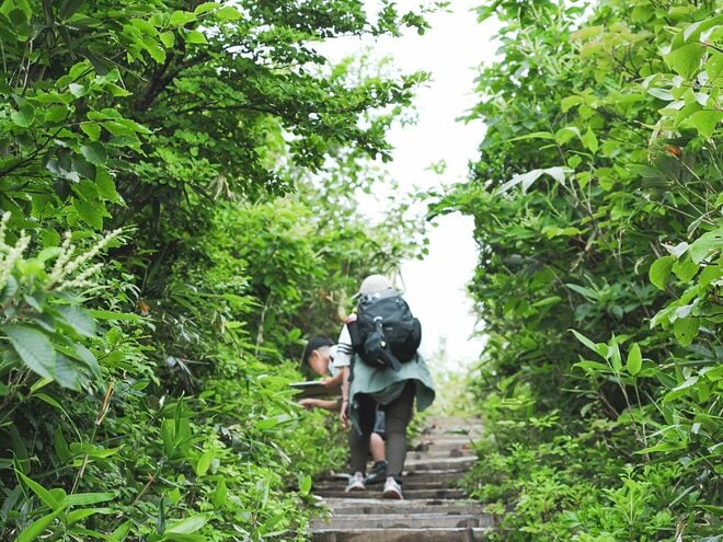 夏休み！ 子どもと歩く「標高2,007mの世界」 白馬五竜で楽しむ「親子トレッキング」の一日　長野県｜2026年の画像002