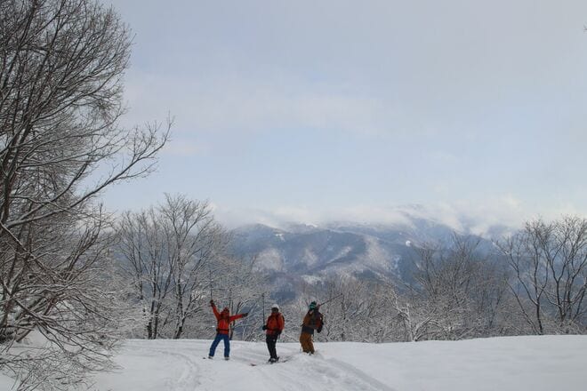 “おとぎの国”に迷い込んだような静かなブナの森を行く「のんびりバックカントリーツアー」 JAPOWを楽しむ！【長野県鍋倉山】2026年の画像012