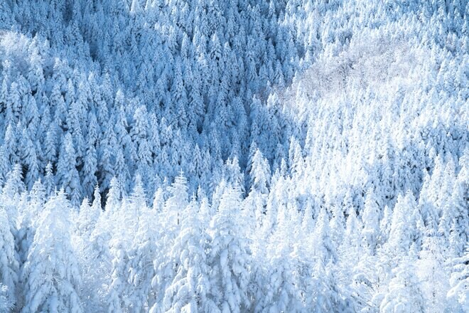 【雪山登山】冬の硫黄岳！ 白い世界とのコントラスト！ 圧巻の八ヶ岳ブルーと迫力のスノーモンスター〈長野県〉の画像010