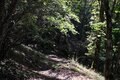 【首都圏近郊】1時間半で登頂できる山梨の隠れ名山「小楢山」紅葉の見頃はもうすぐ！の画像005