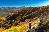 真っ盛りの紅葉を抜け、荒涼とした山頂部へ！  シマリス駆ける北海道、大雪山「赤岳」の美しすぎる絶景・紅葉狩り登山  2024年
