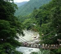 【日本の秘境】徳島県「祖谷・大歩危」の絶景！  ディープで険しい峡谷の地「かずら橋・ひの字渓谷・小便小僧」断崖＆奇岩「現地レポ」