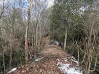 「眺望が悪いのに人気の山」兵庫県宝塚・猪ノ倉山を「実際に歩いてみた結果」