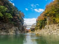 紅葉の渓谷美！「スリルと感動と癒し」を同時に楽しむ贅沢な川旅へ＜天竜川 後編＞【ユーコンカワイの股旅リバログ vol.19】