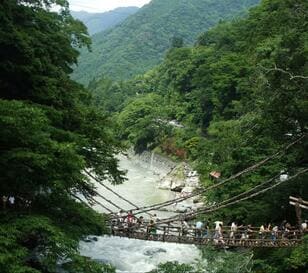 【日本の秘境】徳島県「祖谷・大歩危」の絶景！  ディープで険しい峡谷の地「かずら橋・ひの字渓谷・小便小僧」断崖＆奇岩「現地レポ」