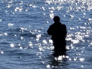 夏でも釣れる！  海釣りで狙いたい「ターゲット3種」 釣果に繋がる「狙いどき＆タックル」基本とコツ 「実釣・解説」レポート