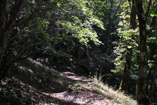 【首都圏近郊】1時間半で登頂できる山梨の隠れ名山「小楢山」紅葉の見頃はもうすぐ！の画像005
