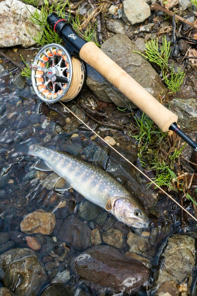 【渓流釣り】飛騨の春、桜とヤマメとイワナを愛でながら里川でフライフィッシング！  岐阜県｜2026年の画像001