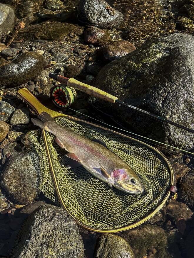 【渓流釣り】澄んだ流れの渓流で、一年中釣りができる幸せ「芝川特別区」でフライフィッシング！   静岡県｜2025年の画像006