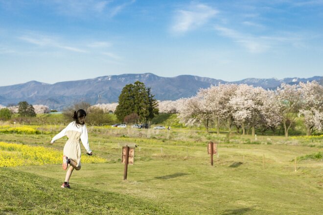 【ゴールデンウィーク直前】北信濃・春の絶景スポット4選！  「雪国にも遅い春がやってくる」千曲川の情緒あふれる花の景色 2022年・長野県の画像005