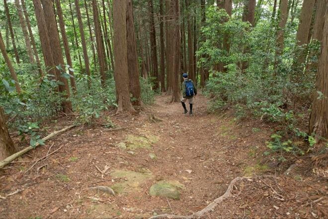 【首都圏日帰り・青梅ハイキング】2万本のツツジ咲く「塩船観音」から新緑の「霞丘陵」を縦走！  立ち寄り温泉も楽しめる、初夏の爽快コース！の画像012