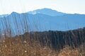 【首都圏近郊で3月末に登るなら】富士山の大展望台「三国山（鉄砲木ノ頭）」がおすすめなわけの画像005