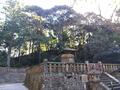 絶景パワースポットで初詣ハイキング！  徳川家康ゆかり「久能山東照宮」 お正月 “三が日” は10万人が訪問で混雑…「おすすめの時期」は？  現地レポの画像005
