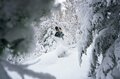 パウダーを狙うなら外せない！ 世界トップクラスの雪が間違いなく楽しめるエリア「北海道パウダーベルト」を知っていますか？の画像006