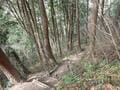 最高峰でも標高199mの日本一低いご当地アルプス「小野アルプス」で味わえるパノラマ絶景とは！？ 登山コースは「エスケープ＆絶壁う回」もOK！の画像013