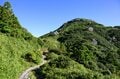 【世界自然遺産・屋久島】九州最高峰の「宮之浦岳」へ！  日本最南端の高層湿原「花之江河」を抜け、洋上のアルプスに臨むの画像011