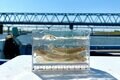 “まさかの理由で釣れる” 庶民の遊び「ハゼ釣り」の新ジャンル「ハゼクラ」とは！？  シーズン中に一度は試したい、初心者OKのルアー釣法！の画像002