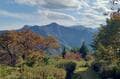 下山後が楽しみすぎる登山！  絶景「日向山」＆実りの秋「あしがくぼ果樹公園村」と道の駅グルメ！  芦ヶ久保駅から2時間「秋の幸」満喫ハイキングの画像001