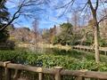 あこがれの街「吉祥寺」の2大アウトドアスポット！  井の頭恩賜公園「井の頭弁財天」&「武蔵野八幡宮」  歴史と自然の「2.7kmウォーキング」の画像008
