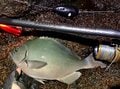 釣り竿「最初の1本」は磯竿に！  磯釣りタックル「有名メーカー入門モデル」がコスパ最強の理由！「冬の夜釣り」でのリアル検証レポートの画像003