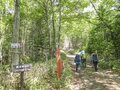 【人気上昇中】101番目の日本百名山！？ 北海道の秀峰・ニペソツ山を登る  2022年最新情報！の画像001