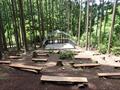 晴れた日には大阪湾まで眺望OK！  北摂山系最高峰「深山」山頂からのパノラマ絶景＆ご神体「深山宮」兵庫県立ささやまの森公園コース「登山レポ」の画像005