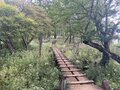 西丹沢の静かな秋登山！ 「檜洞丸」アルプス並み標高差1100ｍ「ビジターセンター」から3時間半「体力ルート」登頂レポの画像001