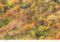 いよいよ「秋の登山シーズン」到来！ 秋の山歩きを満喫する特集がいっぱいの1冊を手に「紅葉の絶景が待つ山」へ出かけよう！『soto 秋山2022』好評発売中