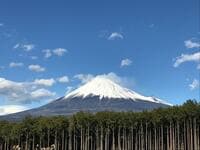 2022年の狙い目！「幻想の夜景・二刀流・木もれ日」がキーワード「オープン1年以内」のキャンプ場3選