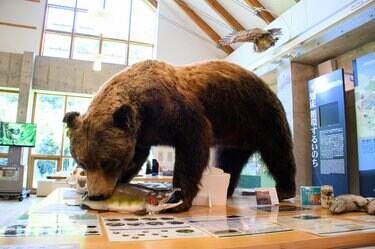 2ページ目) シャチやヒグマのリアルな大きさを体感！ 世界自然