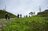 苗場スキー場の「タケノコ山」でタケノコ採り！ ＜新潟県＞の画像004