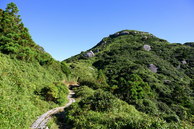 【世界自然遺産・屋久島】九州最高峰の「宮之浦岳」へ！  日本最南端の高層湿原「花之江河」を抜け、洋上のアルプスに臨むの画像011