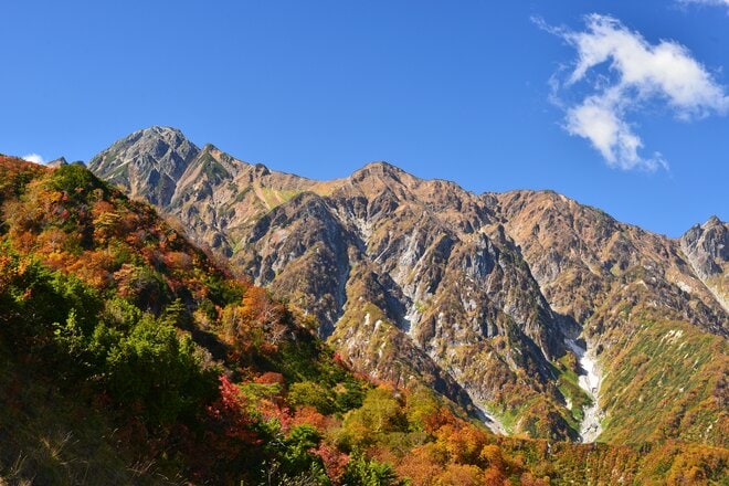 紅葉シーズン最盛期間近！「白馬五竜高山植物園」 一足早い秋の高原を彩る国内外の“高山植物の競演”に酔うの画像010