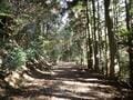 足元から広がる「ほぼ360度」絶景！  山頂手前の岩稜「白髪岳」からのダイナミックな展望は冬がおすすめ！  2時間ハイキングレポ【兵庫県丹波篠山市】の画像002