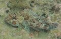 海まで0分で ”限定5サイトのみ” 日本海の断崖に「巨大高級魚を拾えるキャンプ場」があったの画像004