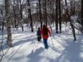 ファミリーで雪上歩きを楽しめる！「旅行プラスαで行ける冒険気分！」お手軽スノートレイル3選・2022年冬の画像004