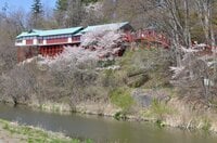 【春の信州でお花見散策】朱塗りの柱が目を引く空中楼閣！  圧巻の懸崖造り 難読「鼻顔稲荷神社」は桜の名所！  長野県佐久市・2024年