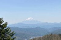 関東エリア「日帰りハイキング」の花形！ 「富士山の絶景」が望める、定番＆人気の山3選！ 「陣馬山・大菩薩峠・大山」