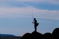 秋から冬が旬の「アジングロッドで狙える魚」3選！  初心者にもおすすめ「30cm未満」「分かりやすい反応」「美味しい」でターゲット選定