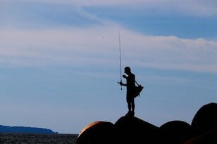 秋から冬が旬の「アジングロッドで狙える魚」3選！  初心者にもおすすめ「30cm未満」「分かりやすい反応」「美味しい」でターゲット選定