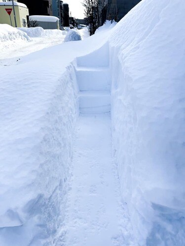 4ページ目) 発想の転換！ ツラい「除雪」の意外すぎる楽しみ方「雪育