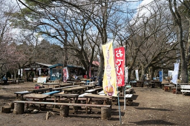 【狙い目はいつ？】人気お花見ハイキングスポット「高尾山」 桜の開花状況をレポートの画像003