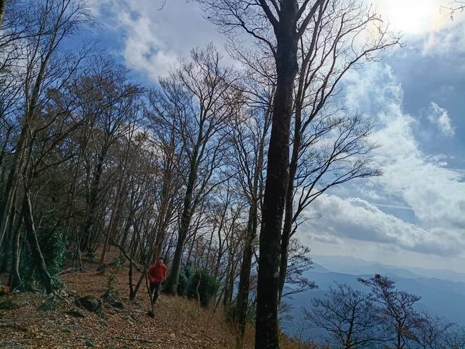 【地域おこしのカギとなれるか】世界遺産に登録されなかった “幻の熊野古道”「奥辺路」とは？【耕して、焙煎して、走る男　人口2,800人の村に移住してみました vol.12】の画像010