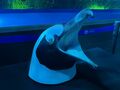 意味がわかると怖い “生き物の秘密”  池袋サンシャイン水族館 夜間特別営業「TERROR Night Aquarium」開幕（編集部レポート）の画像008
