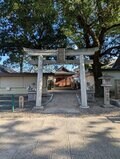 鶏がフリーダムに闊歩する神社「助松神社」のおみくじはやさしい友達の助言のようだった【関西おみくじジャーニー vol.28／大阪府泉大津市】の画像003