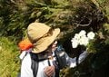 第2回｜世界遺産の “世界一美しい散歩道”「ミルフォードトラック」体験記・2日目＆3日目 ── 原生林の森を抜け絶景峠へ！  NZ最大の滝に圧倒の画像022