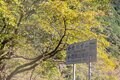 【関東近郊よりもよっぽど近い？】自転車旅のプロが「サイクリストの聖地」こと和歌山県田辺市の“ポテンシャル”を徹底検証してみた件の画像009