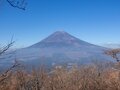 富士山見るための「特等席」！  標高1504mの静岡の百山・越前岳「往復4時間半」トレッキングレポートの画像005